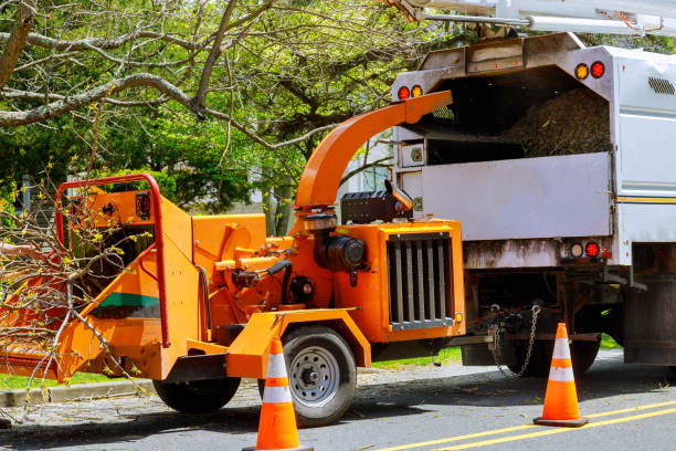 Best Utility Line Clearance  in Riverside, MD